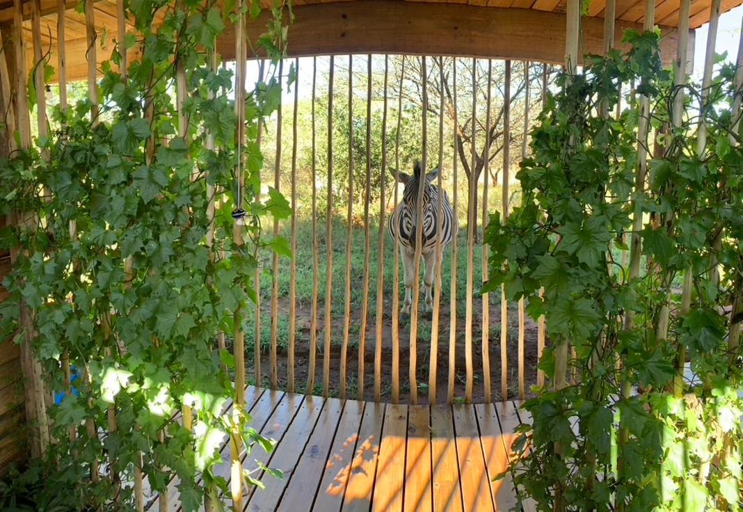 Mudhouse Zululand Villa Hluhluwe Dış mekan fotoğraf