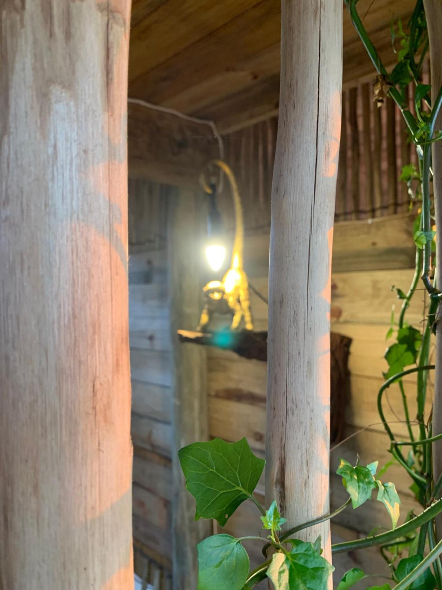 Mudhouse Zululand Villa Hluhluwe Oda fotoğraf